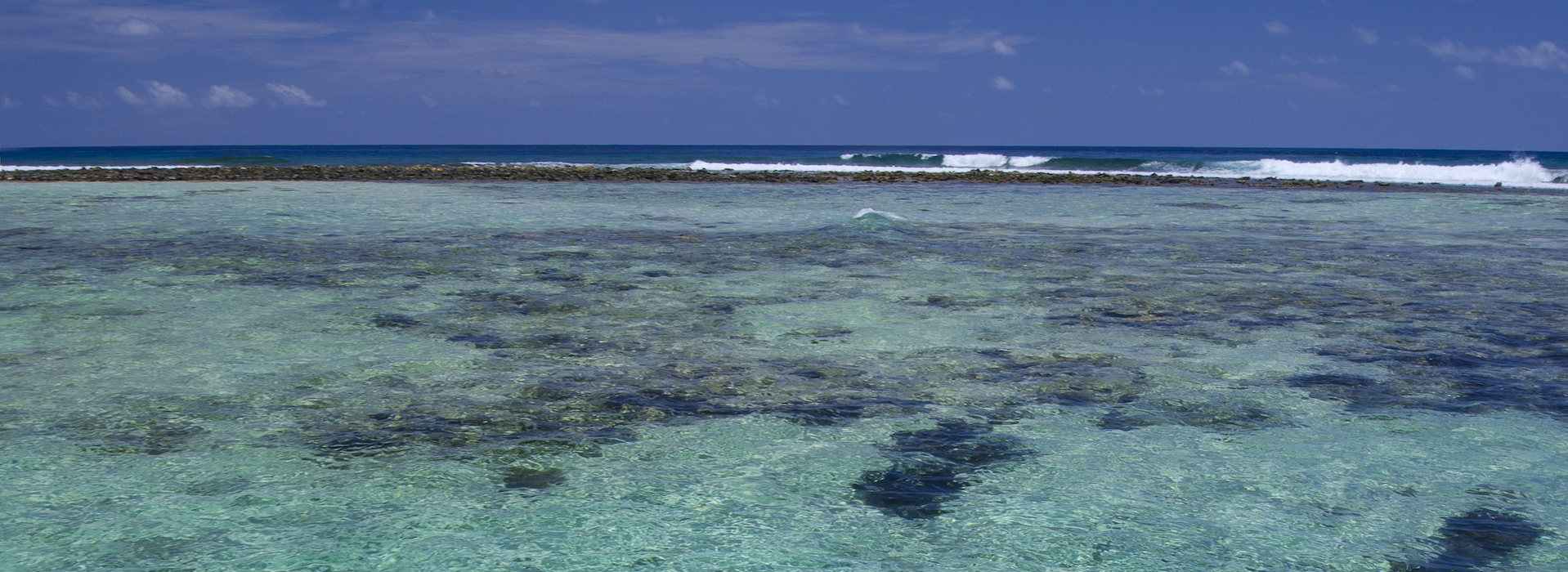 3-Stop Coral Reef Snorkel