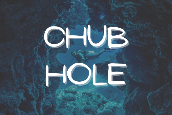 Chub Hole - The Beginning of the Corner