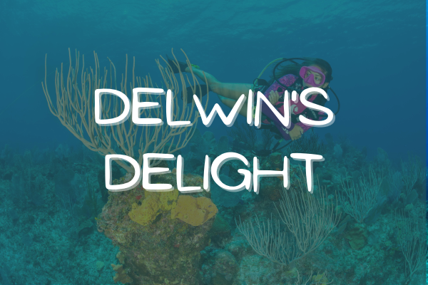 Delwin's Delight - A Gem in Queen's Highway