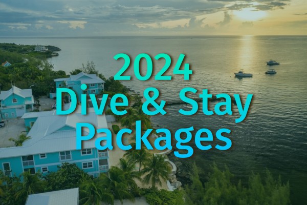 Dive & Stay Packages 2024 | Ocean Frontiers