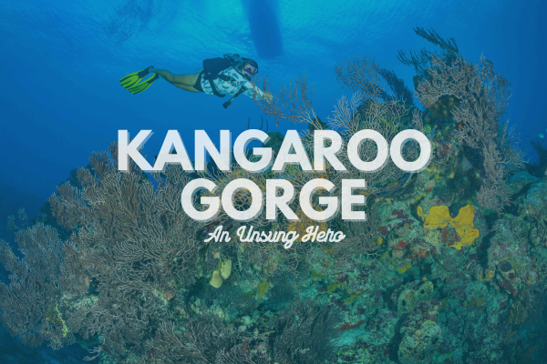 An Unsung Hero: Kangaroo Gorge