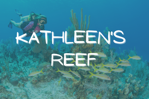 Kathleen's Reef