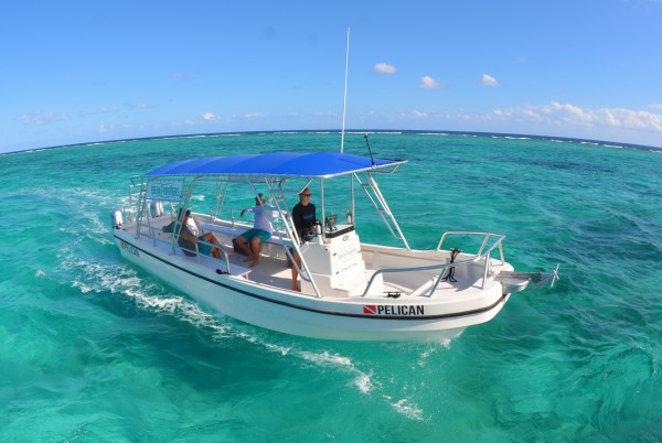 New Trips & New Boat for Snorkel Trips with Ocean Frontiers