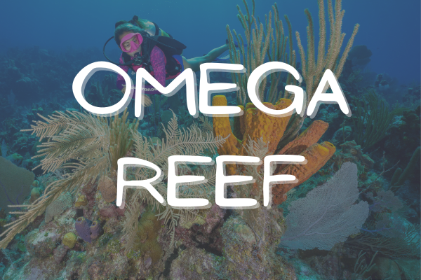Omega Reef