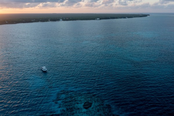 Night Diving at Ocean Frontiers