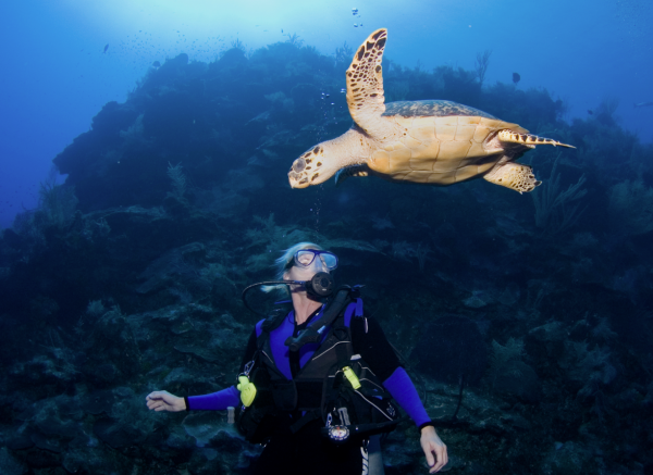 Sea Turtles: Protecting the Beloved Symbol of the Cayman Islands