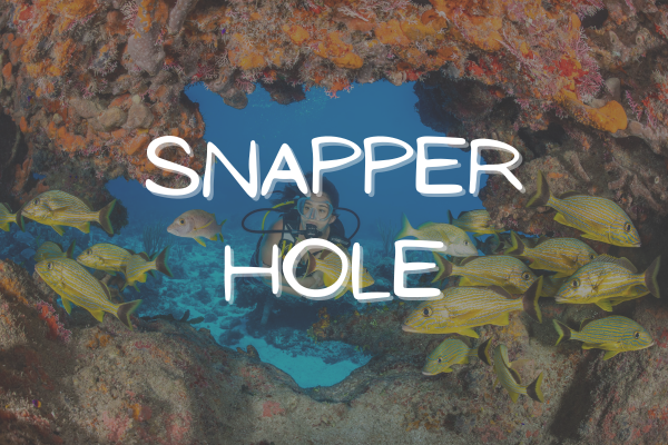 Snapper Hole