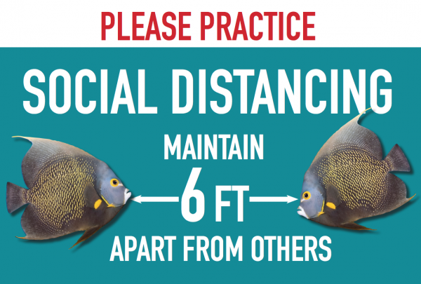 Social Distance Diving