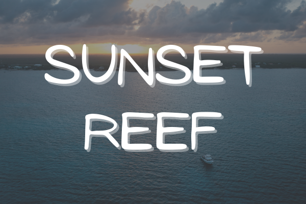 Sunset Reef - A Shallow Site with Hidden Treasures