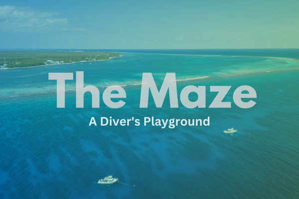 The Maze - A Diver's Playground
