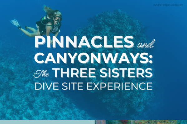 Canyon-ways & Pinnacles: The Three Sisters Dive Experience