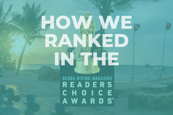 Unprecedented Success in the 2024 Reader’s Choice Award For Ocean Frontiers