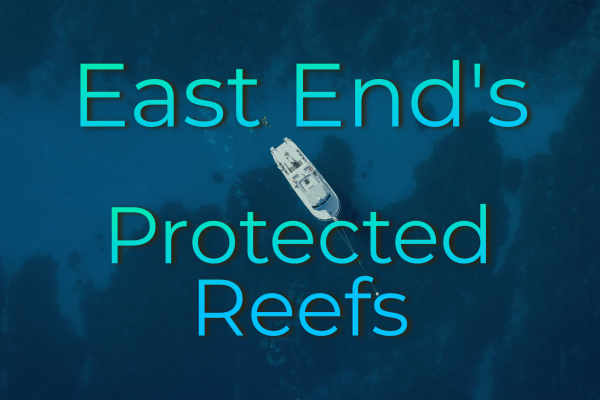 East End's Protected Areas - A Tool For Preservation