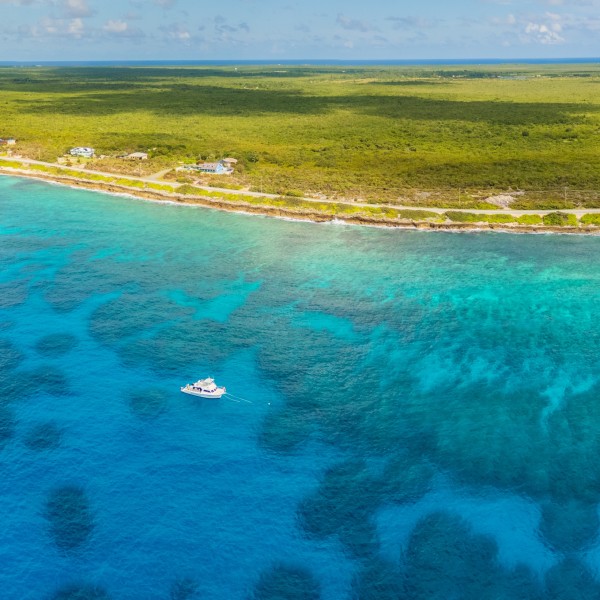 Scuba, Snorkel & Swim - Coral Reef 1-Stop Combo