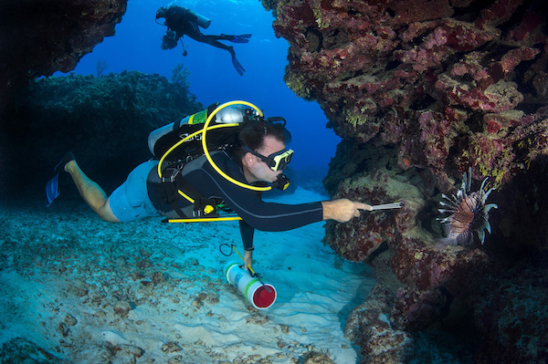 Lionfish Class