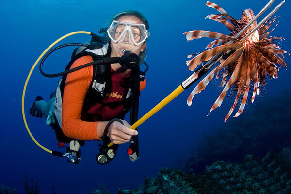 Lionfish Patrol