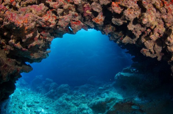 Three Nights & Two Days Fall Special Dive & Stay Package in the Cayman Islands