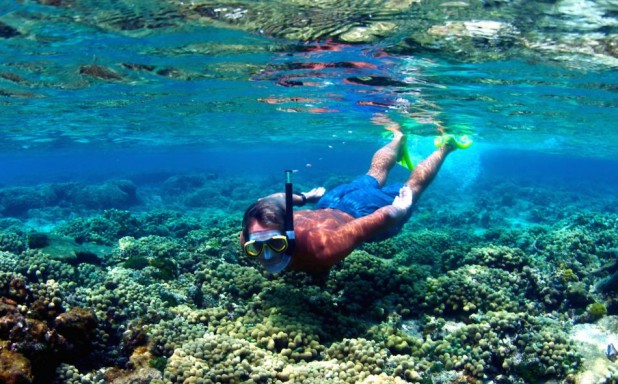 3-Stop Coral Reef Snorkel Boat Trip in Grand Cayman