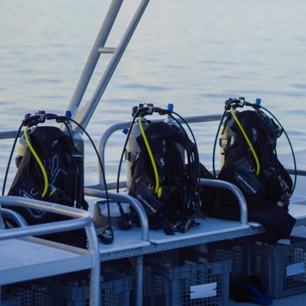 Gear Rental
