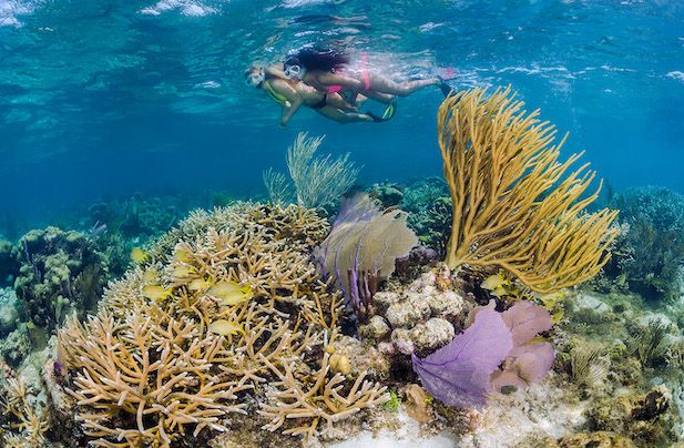 Reef & Rays Snorkel Boat Trip in Grand Cayman