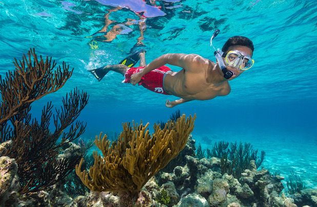 X-Snorkel Adventure Boat Trip in Grand Cayman - X-Snorkel