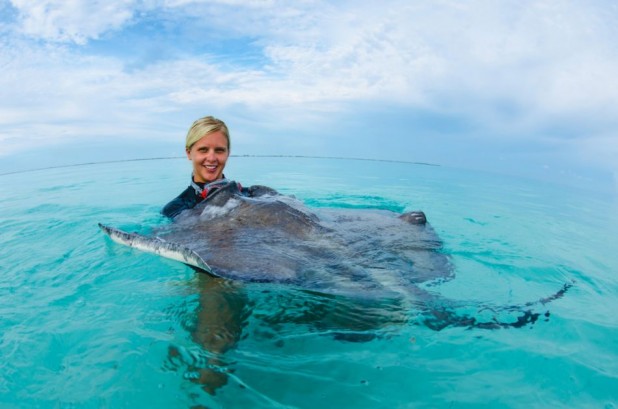 Dawn Stingrays Snorkel Boat Trip in Grand Cayman