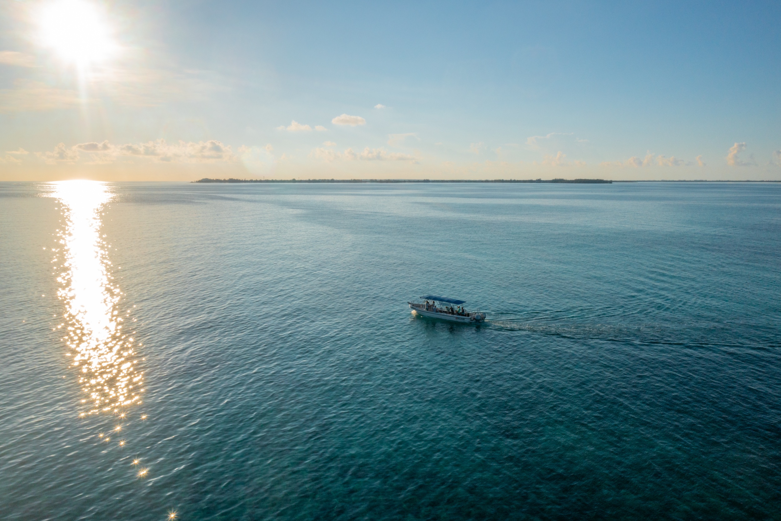 The Picturesque and Intimate Option: Dawn Stingrays