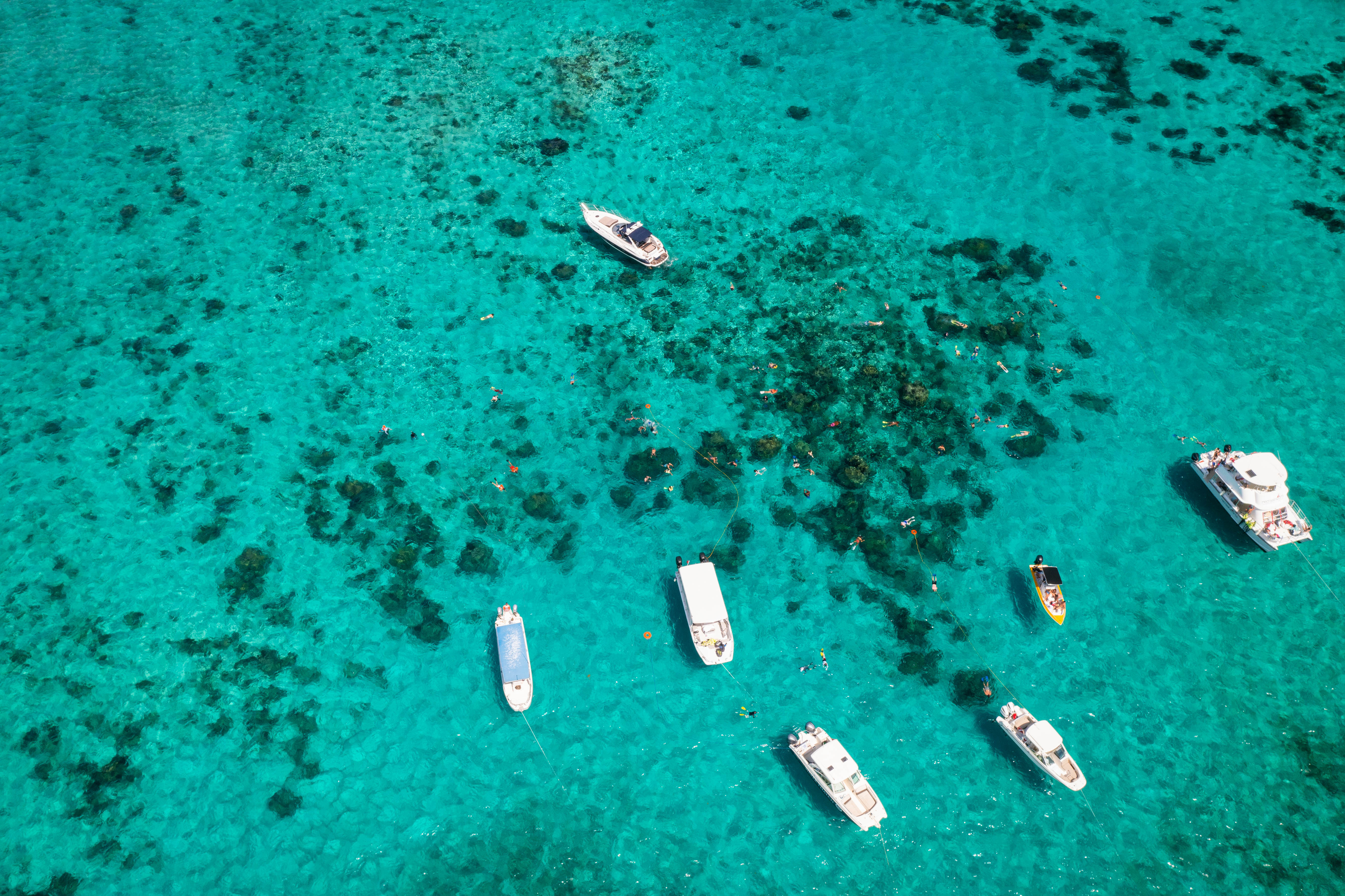 The Best of Both Worlds: The Reef & Rays Trip