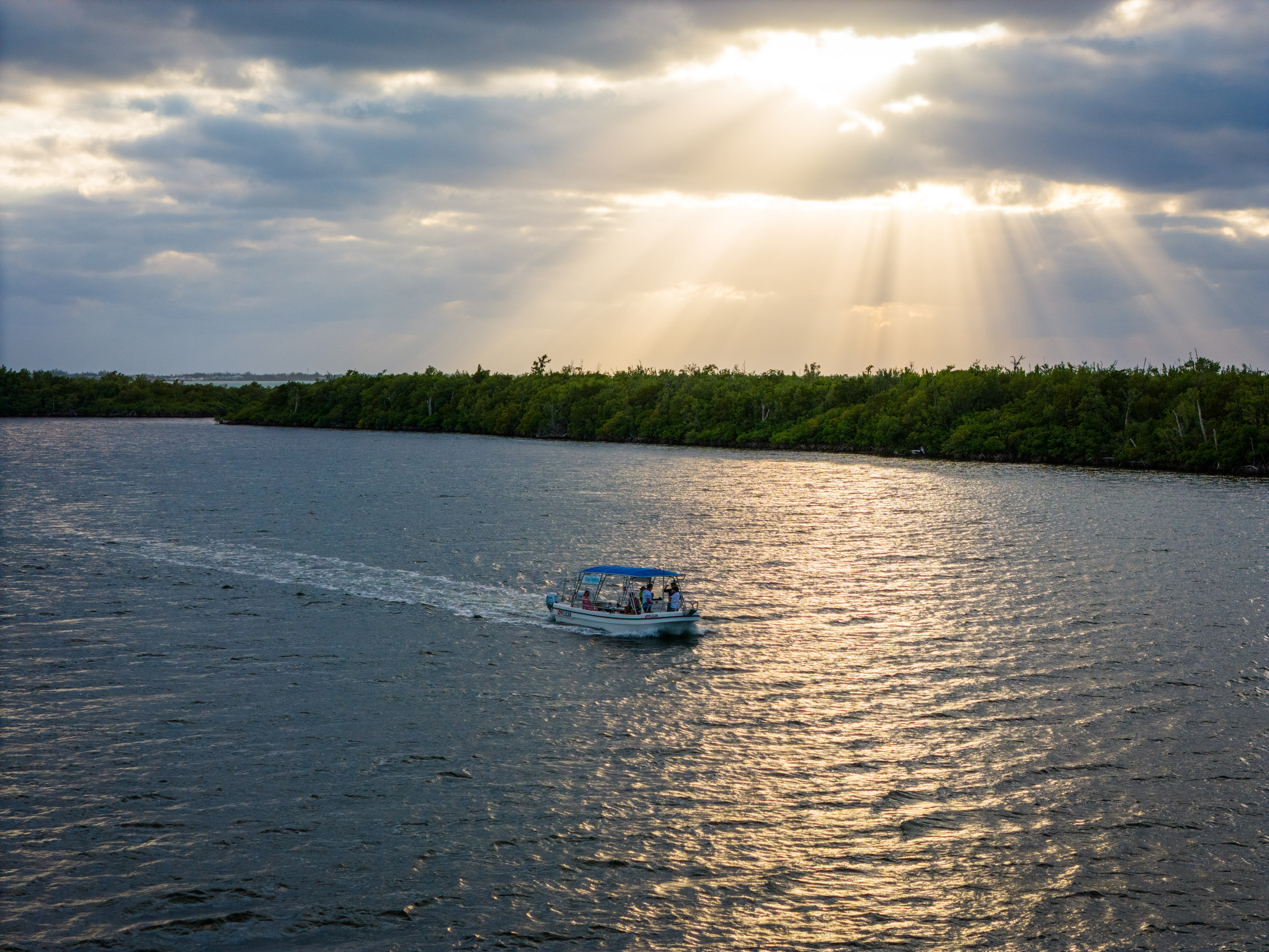 A Sparkling Sunset with A Mangrove Cuise: The Champagne Stingrays Tour