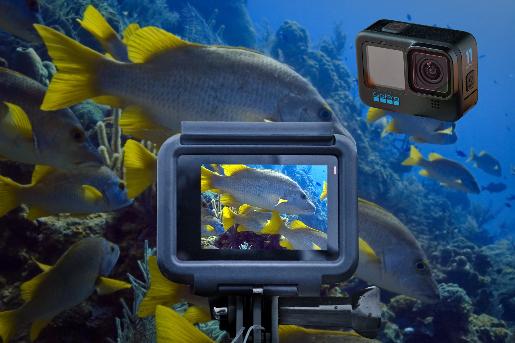 GoPro Dive and Stay Package