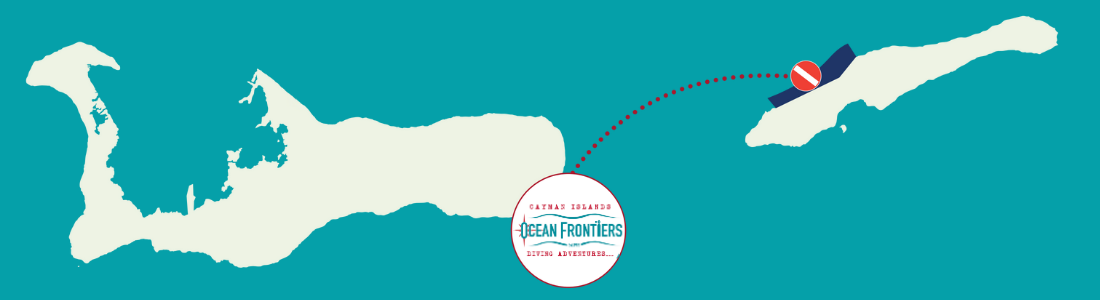 Little Cayman Trips