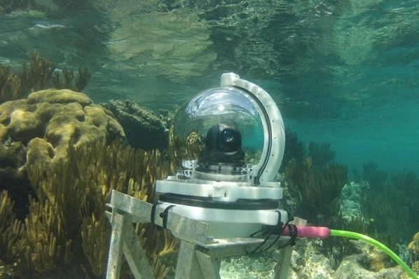A New Window Under the Water