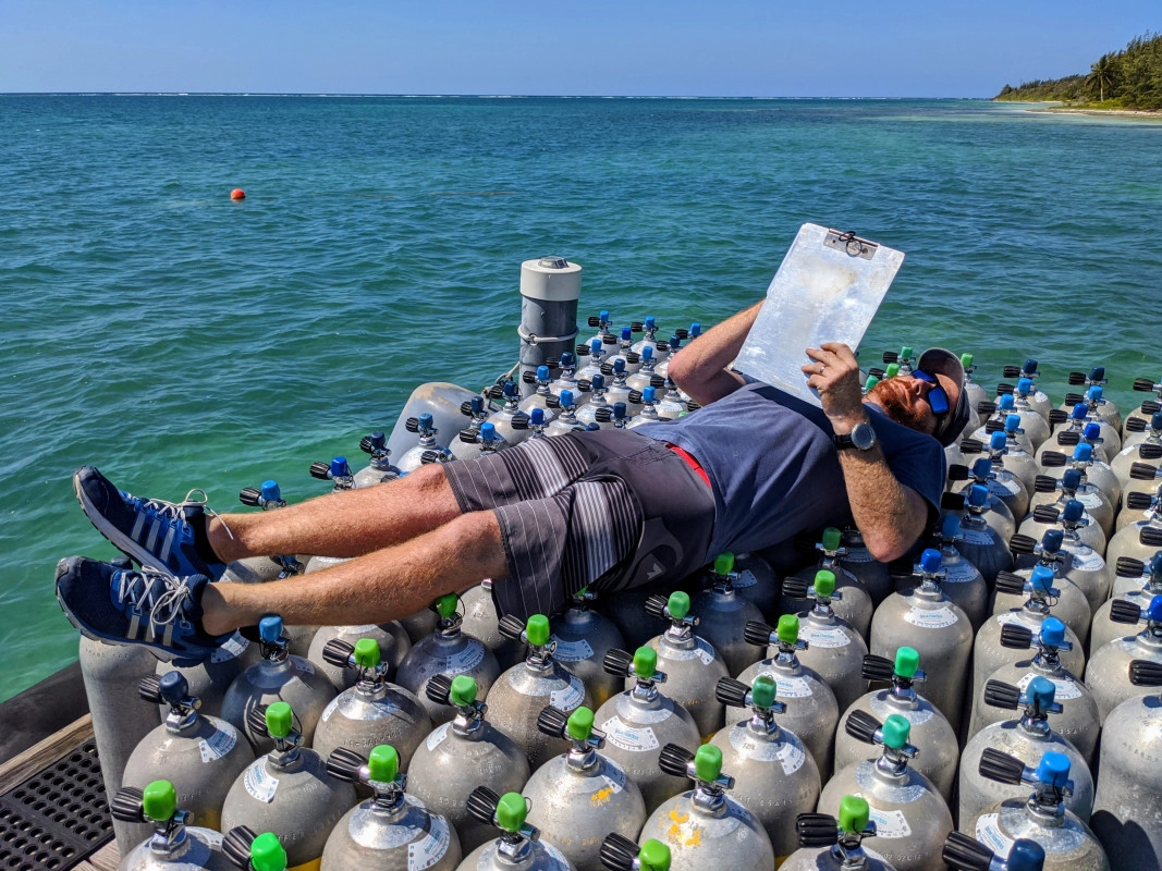 Riding the COVID-19 Wave on a Bed of Tanks