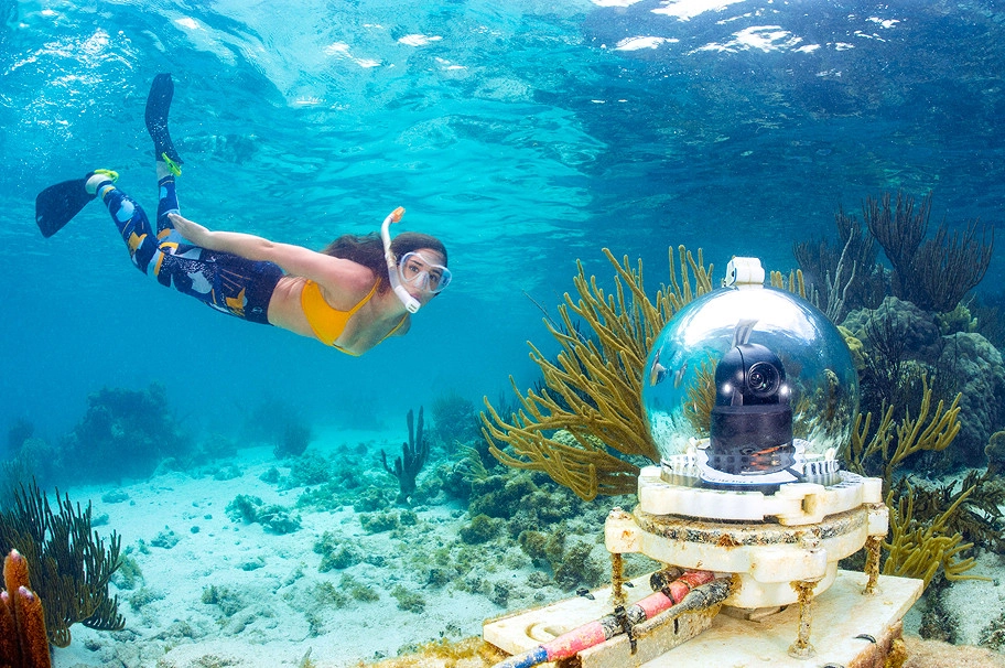 Streaming LIVE - Coral Reef Webcam