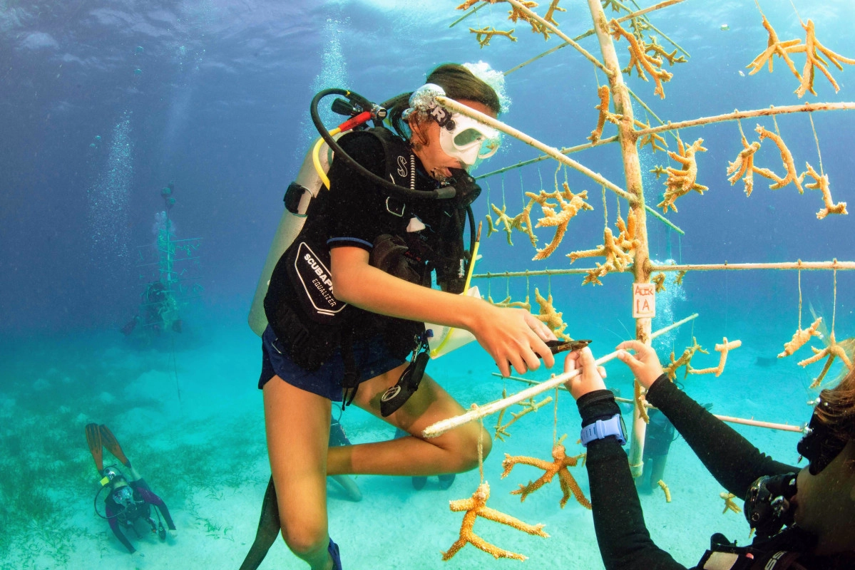 Earth Day Weekend Coral Nursery Class & Dive