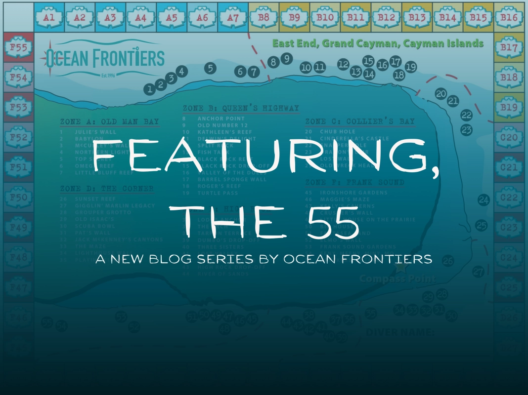 "Featuring, the 55" - a new series on the Ocean Frontiers Blog