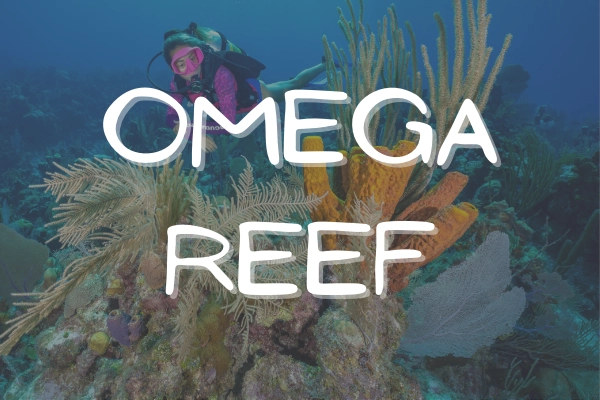 Omega Reef