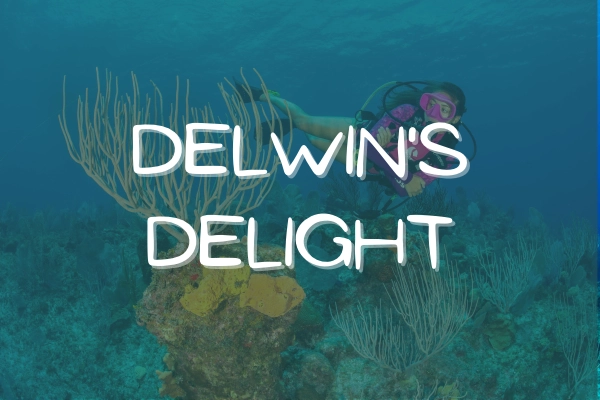 Delwin's Delight - A Gem in Queen's Highway
