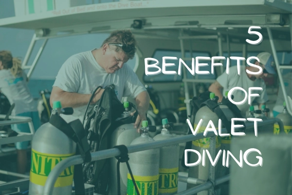 5 Benefits of Valet Diving: A Seamless Scuba Diving Resort Experience