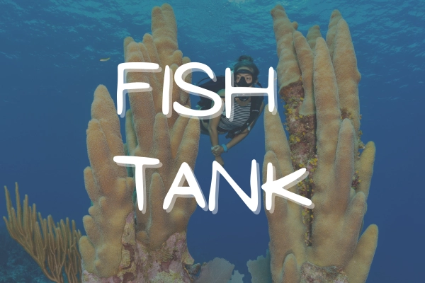 Fish Tank
