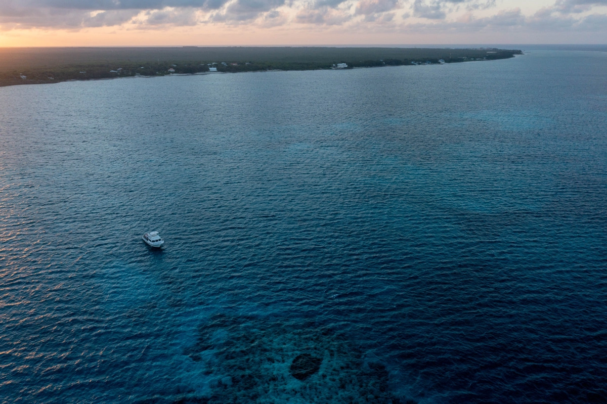 Night Diving at Ocean Frontiers