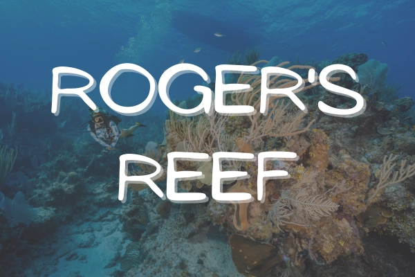 Roger's Reef