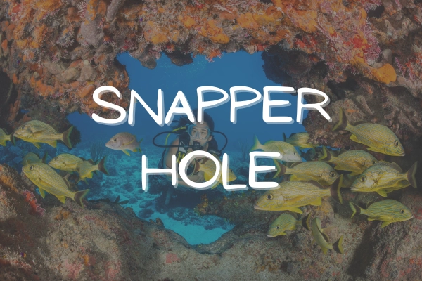 Snapper Hole