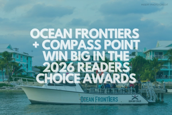 The Green Shorts Service Takes The Cake in the 2026 SCUBA Diving Magazine Reader's Choice Awards