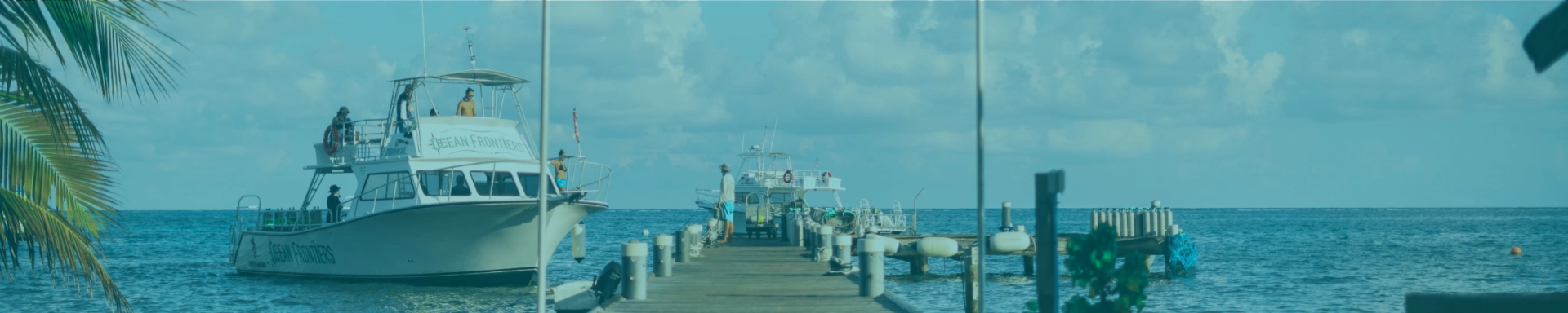 Livestream Dock Cam
