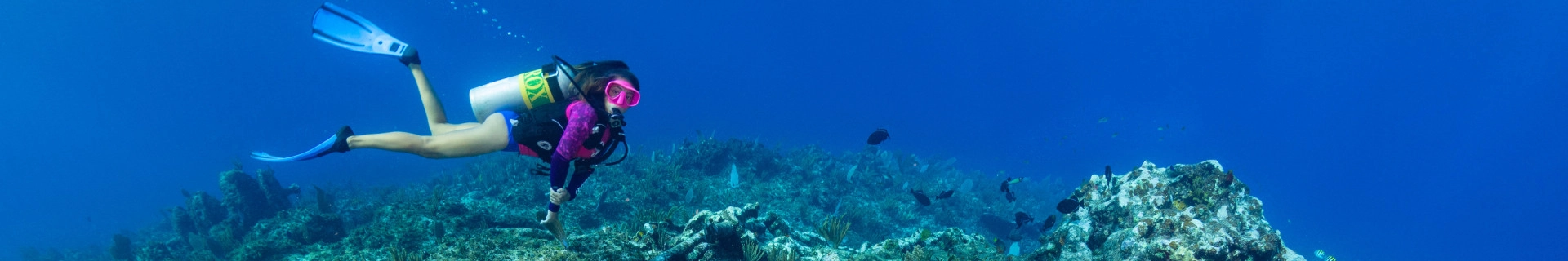 Diving Rates