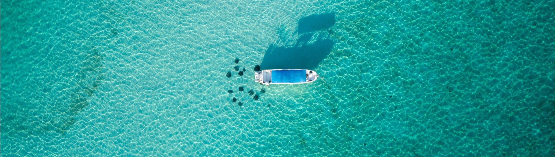 Reef & Rays Snorkel Boat Trips