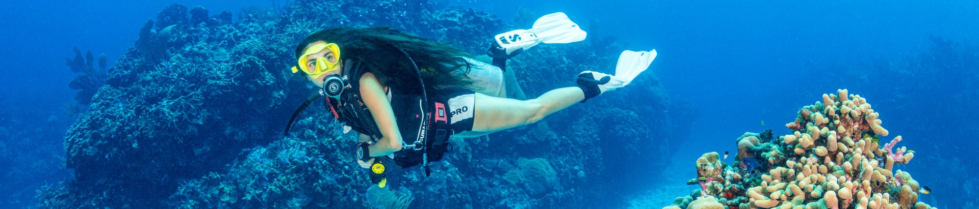 Dive Accident Insurance