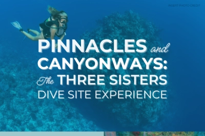 Pinnacles & Canyonways: The Three Sisters Dive Experience