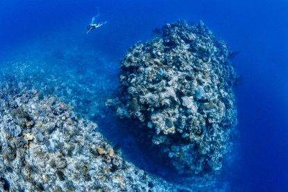 Ocean Frontiers Gallery